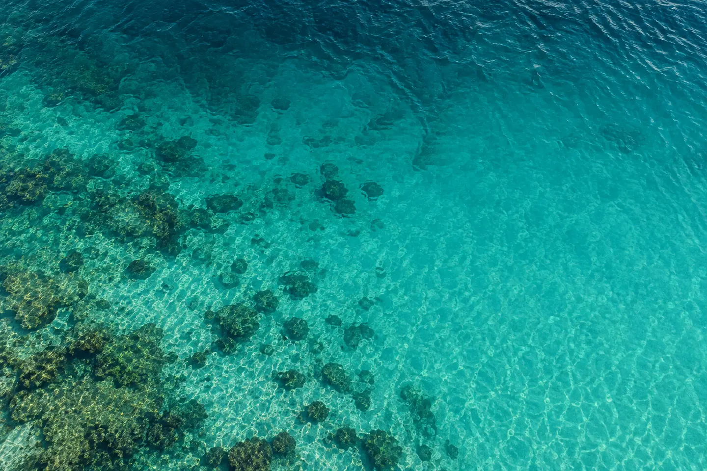 Sunlight catches the ripples of clear turquoise water above a tropical reef.